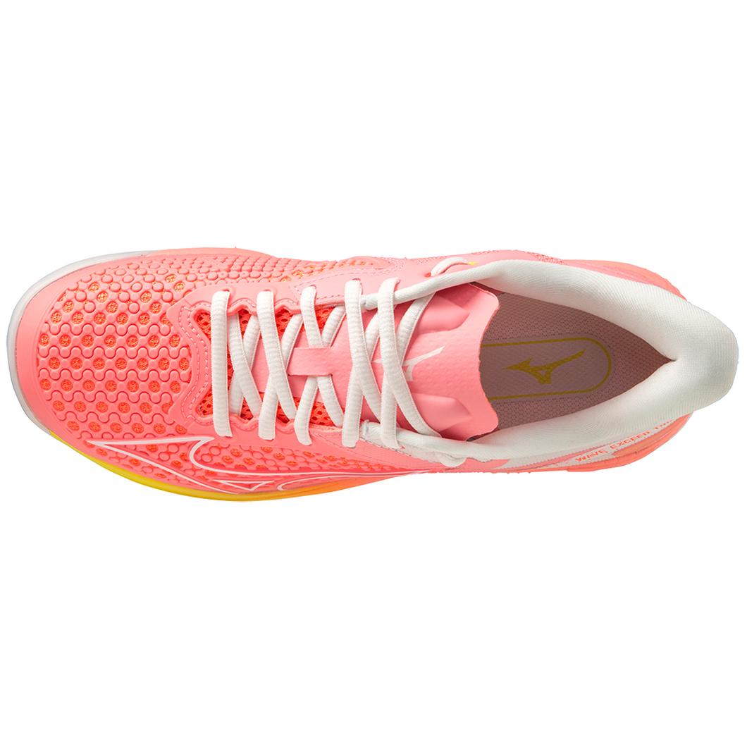 Puma evospeed indoor netfit euro 3 deals